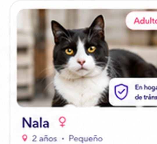 Nala en adopción