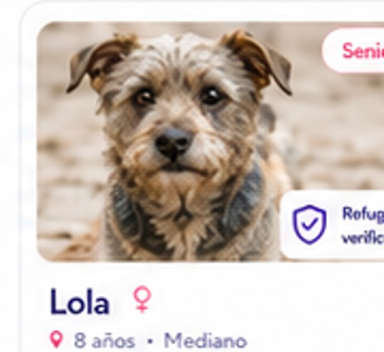 Lola en adopción